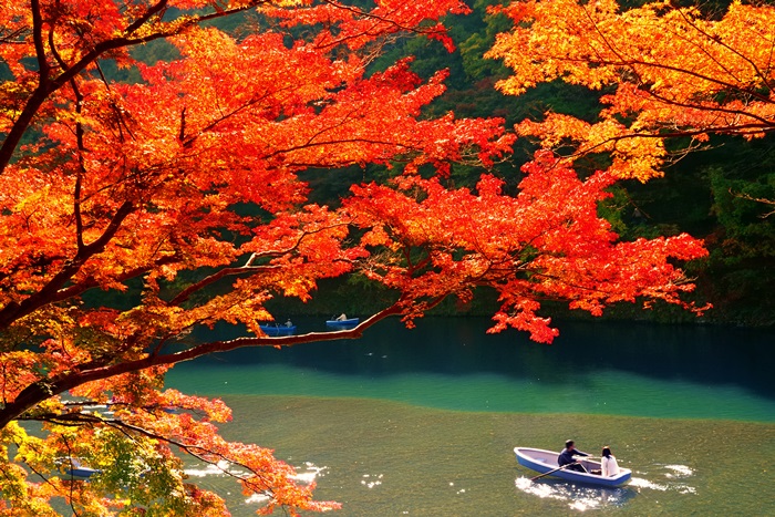 japan autumn forcast